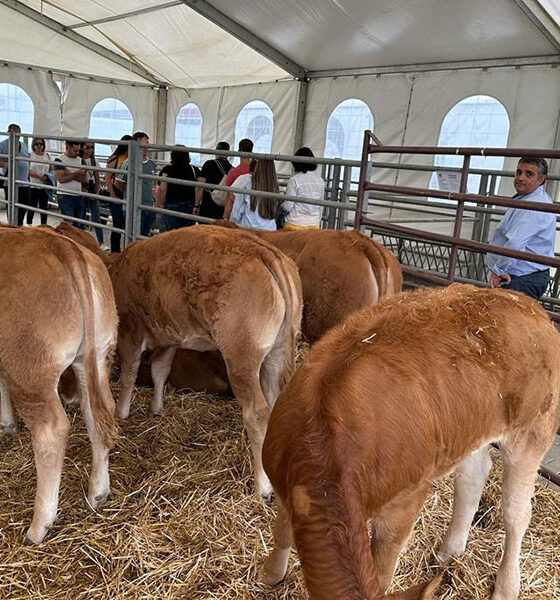 AGROVAP clausura su quinta edición con un volumen de negocio de 680.000 euros y 11.000 visitantes