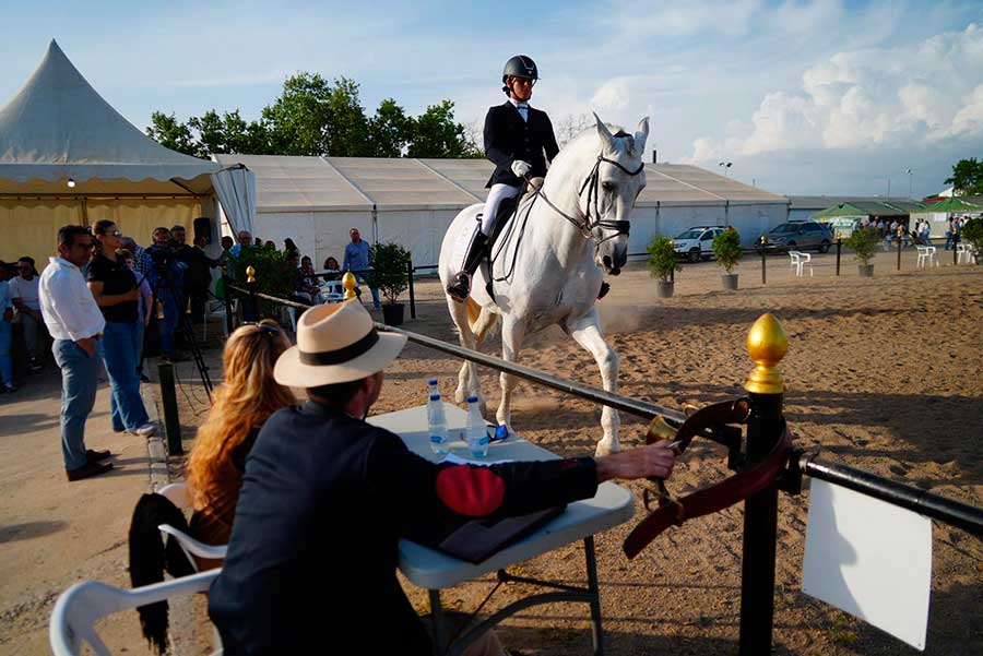 Buen nivel de subastas y concursos en el tercer día de la Feria Agroganadera de Los Pedroches