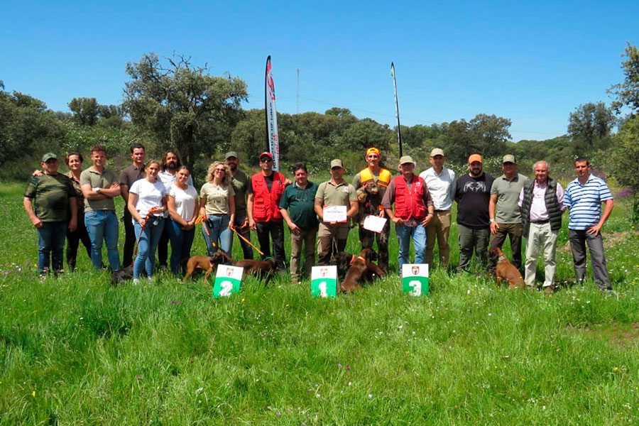 Alcaracejos ha acogido una prueba de caza de la modalidad de Perros de Rastro de Sangre