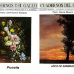 Libros de Pedro J. García Moreno, colección ‘Cuadernos del Gallo’