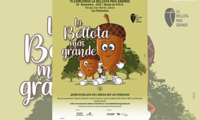 Se convoca una nueva edición del concurso 'La bellota más grande gana 2025'