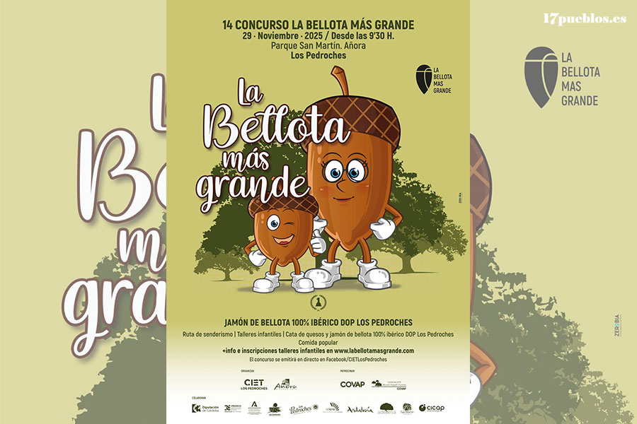 Se convoca una nueva edición del concurso 'La bellota más grande gana 2025'