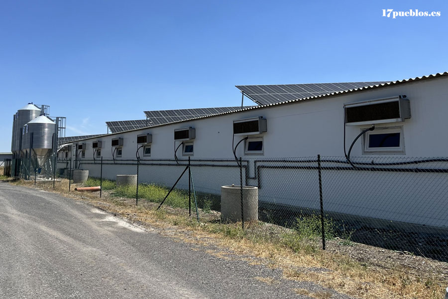 Instalación de producción de lechones ibéricos El Ladrillar en Alcaracejos