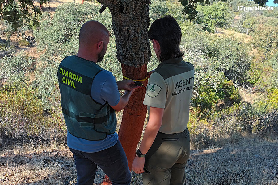 Investigado un presunto delito de hurto de corcho y contra la protección de la flora y fauna en Villanueva del Duque