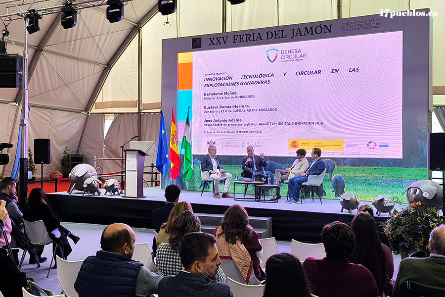 Trece empresas en el concurso al mejor jamón 100% ibérico de Los Pedroches