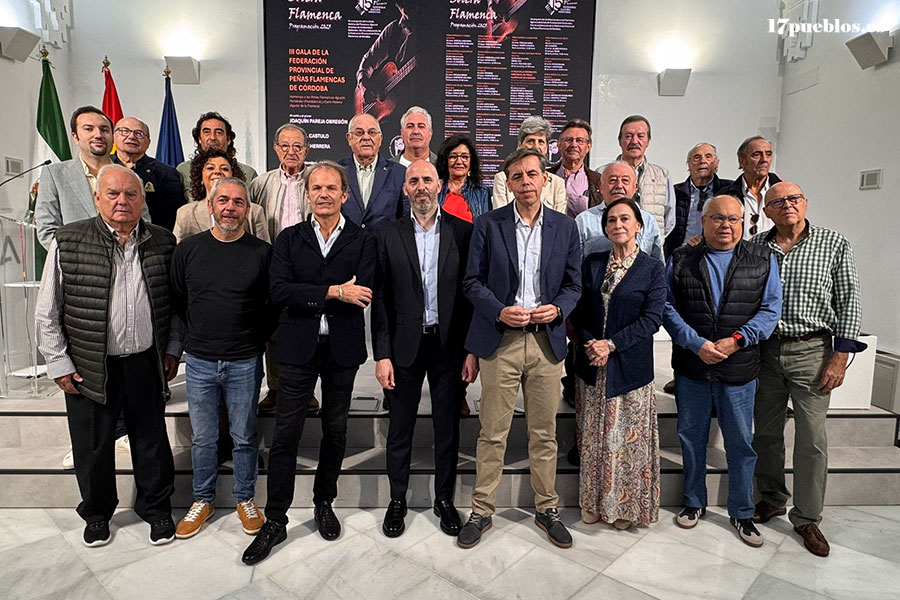 Programación del XV Aniversario de la declaración del Flamenco como Patrimonio de la Humanidad