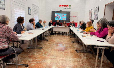 IU y CCOO reclaman al Ministerio más potencia eléctrica en el norte de la provincia