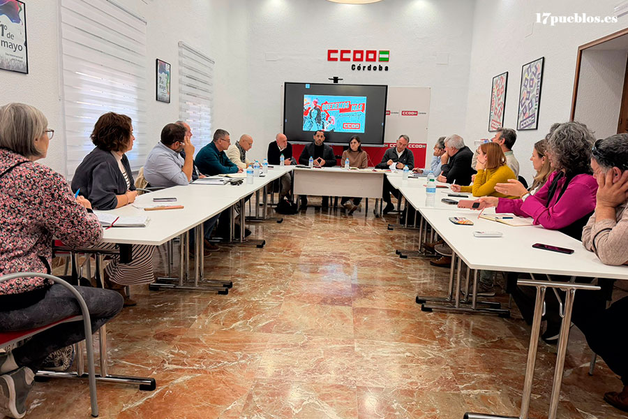IU y CCOO reclaman al Ministerio más potencia eléctrica en el norte de la provincia