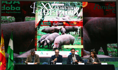 La XV Jornada de Porcino Ibérico apuesta por transformar el origen en valor de mercado