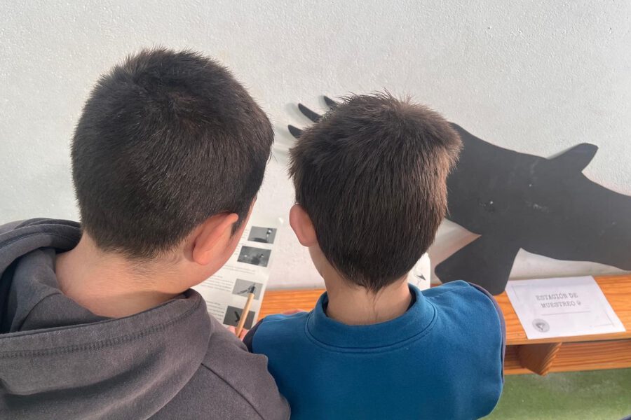 La Mancomunidad amplía las actividades del IX Festival de la Grulla de Los Pedroches