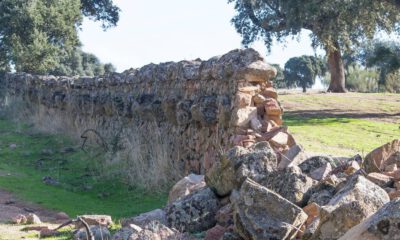 Pared de piedra
