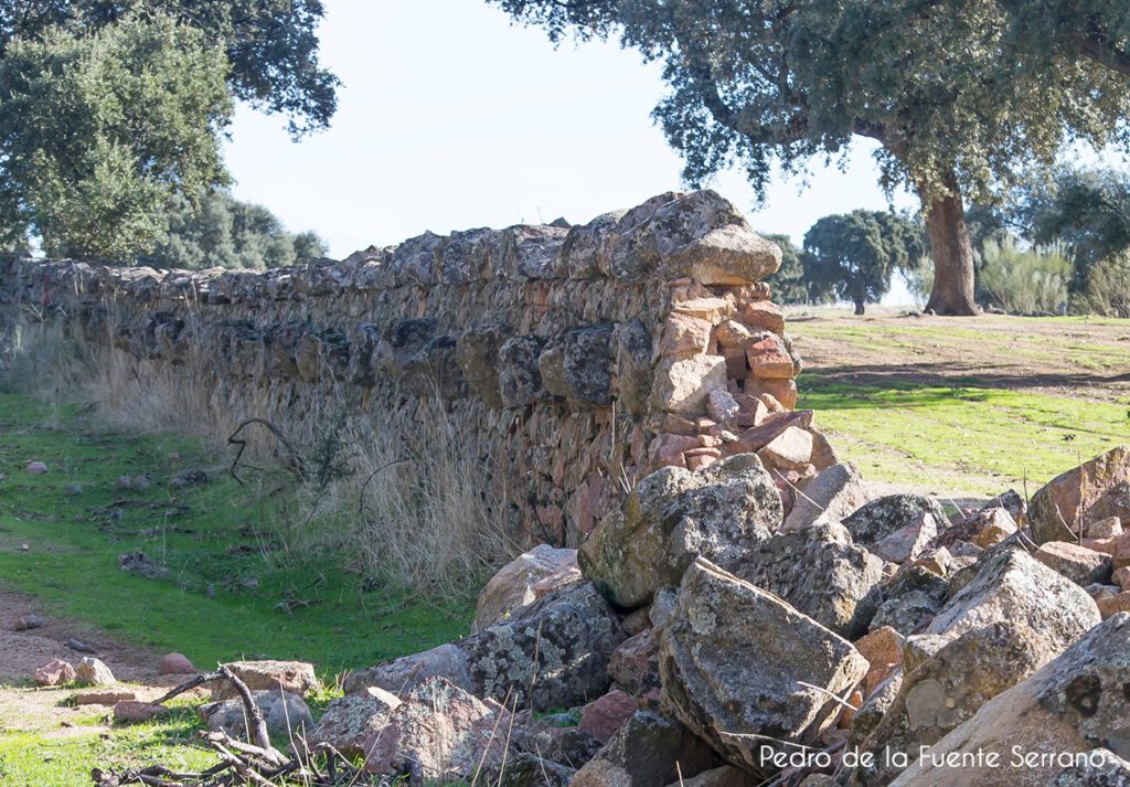 Pared de piedra